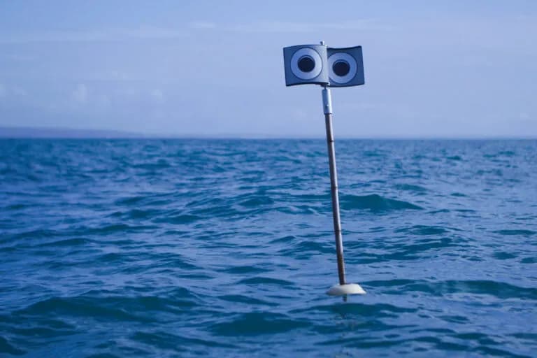 Dispositivos innovadores ayudan a proteger aves marinas de redes de pesca en Cornwall
