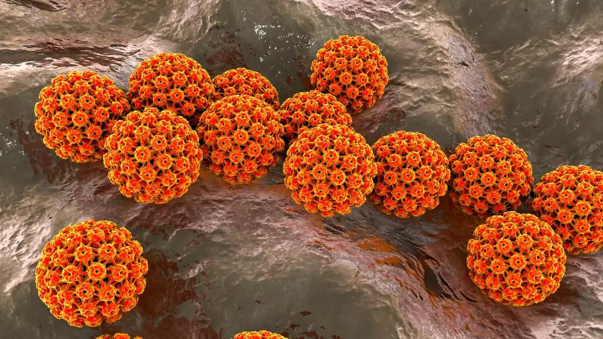 Una de cada ocho casos de cáncer se debe a infecciones, según un nuevo estudio