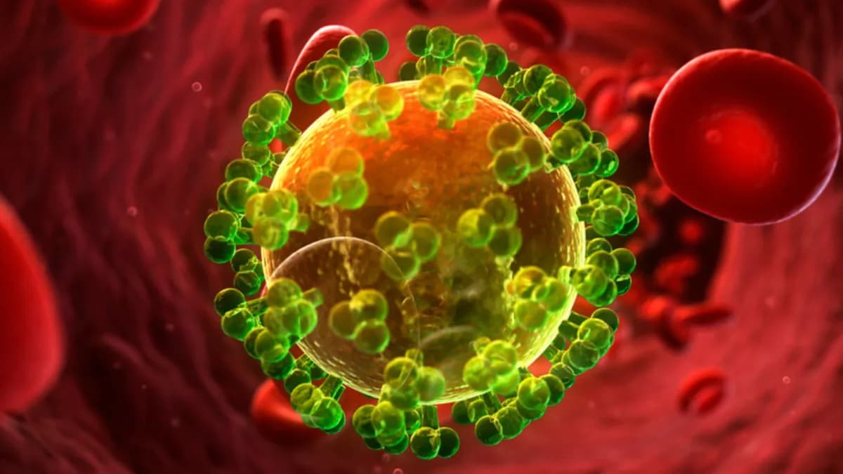 Un anticuerpo experimental mantiene el virus similar al VIH en remisión durante 4 años en un mono