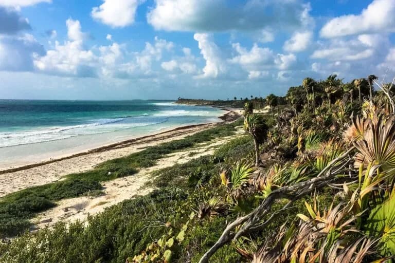 Grupos ecologistas piden detener la construcción de carreteras en la Reserva de la Biosfera Sian Ka'an