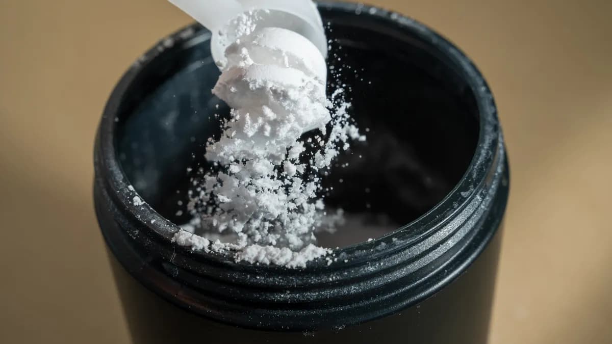 La creatina podría proteger el cerebro de la inflamación intestinal