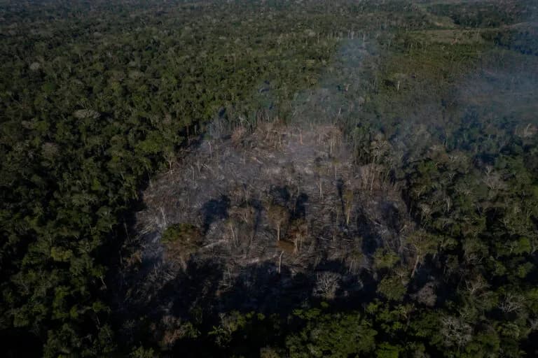 La deforestación en la Amazonía y el Cerrado de Brasil alcanza su nivel más bajo