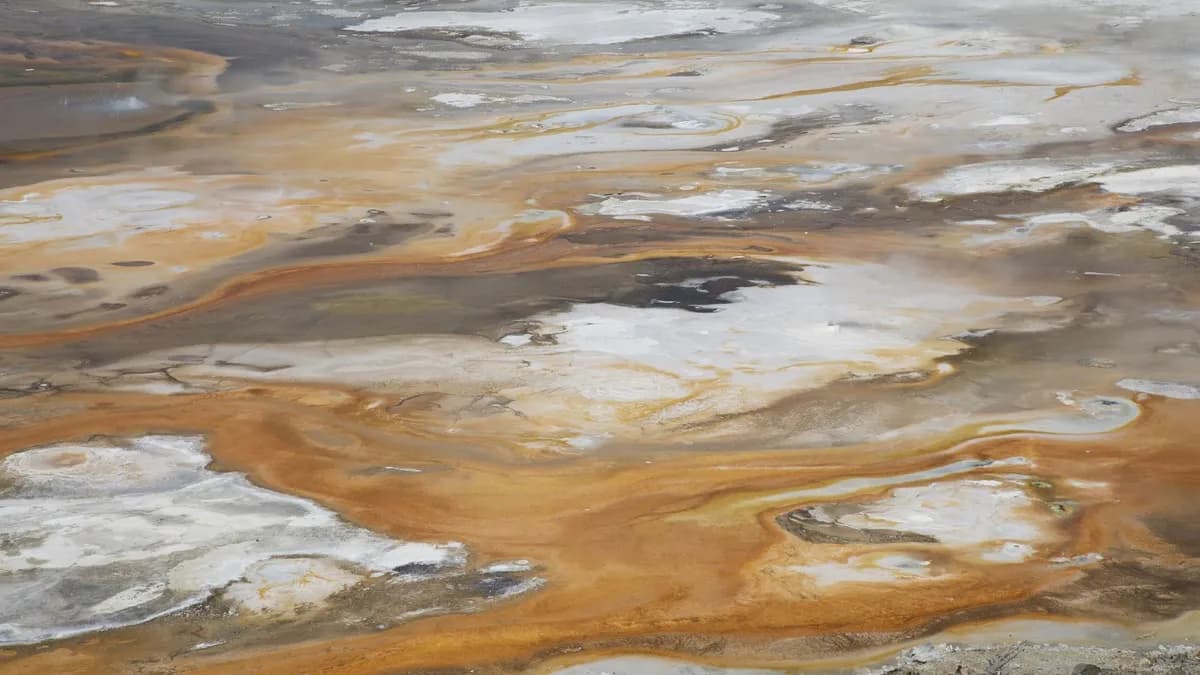Investigadores identifican el 'punto dulce' para la etapa temprana de la vida en la Tierra
