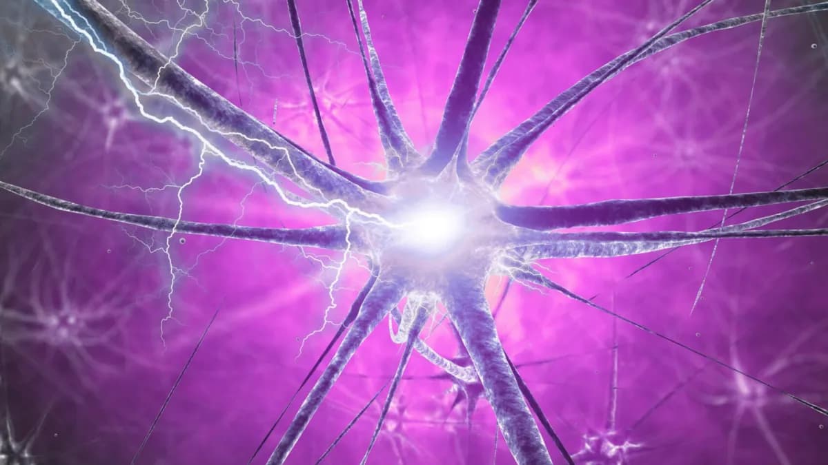 Ratas con cambios cerebrales similares al Parkinson se recuperan inesperadamente un año después