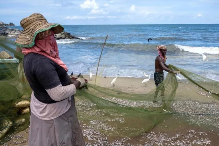 El 46% del pescado salvaje podría ser destinado a la acuicultura para 2040, según un informe