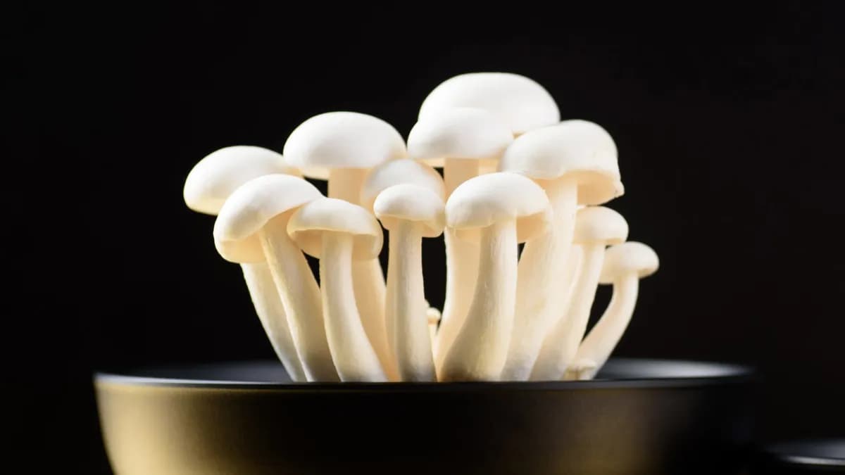 Un compuesto derivado de hongos podría intensificar el sabor de la sal en un 71%