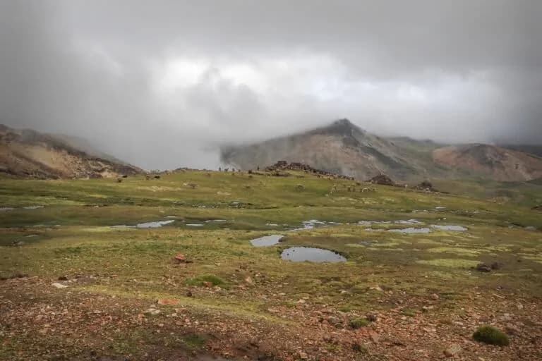 Restaurar ecosistemas antiguos en los Andes peruanos para asegurar el agua