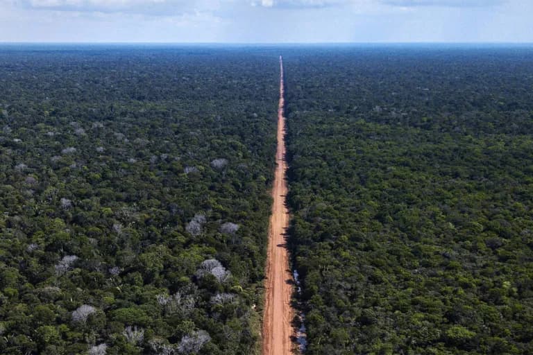 Brasil crea cuatro reservas en la Amazonía ante la pavimentación de la carretera BR-319