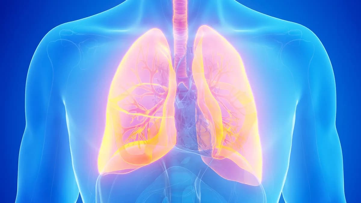Nuevas células inmunitarias muestran potencial contra el cáncer de pulmón de pequeñas células