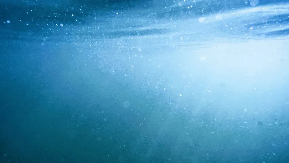 La viscosidad de la nieve marina y su impacto en el almacenamiento de carbono en los océanos
