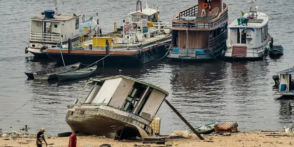 Estudio alerta sobre aumento de sequías extremas en la Amazonía