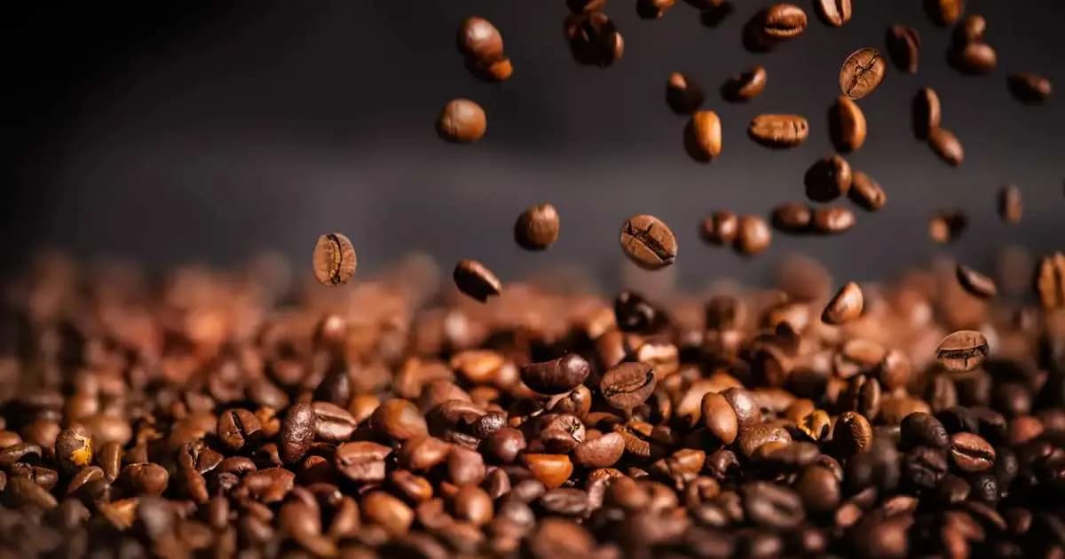 El aroma del café puede mejorar el estado de ánimo en solo cinco minutos