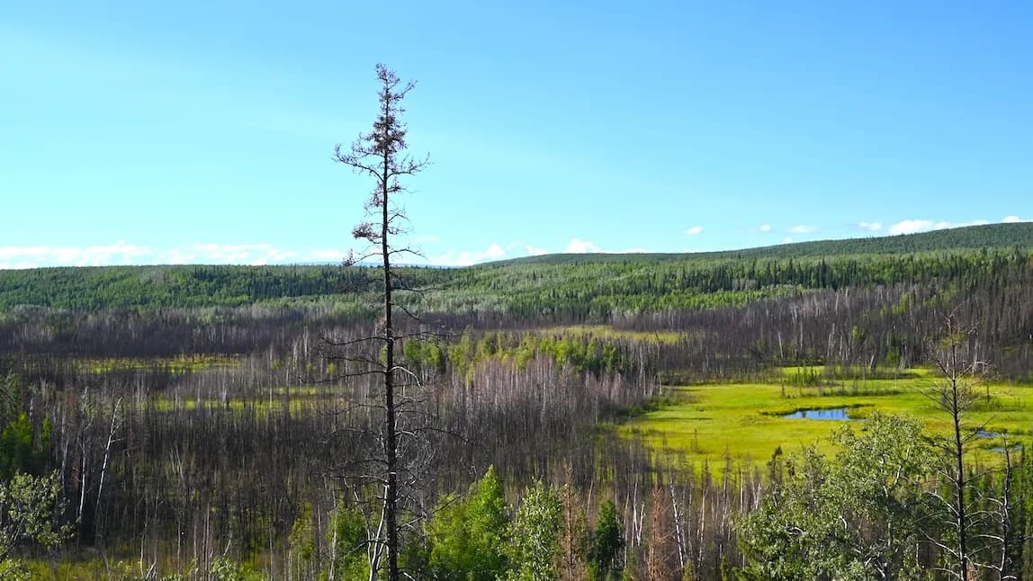 Descubrimiento de la vivienda más antigua de América en Alaska