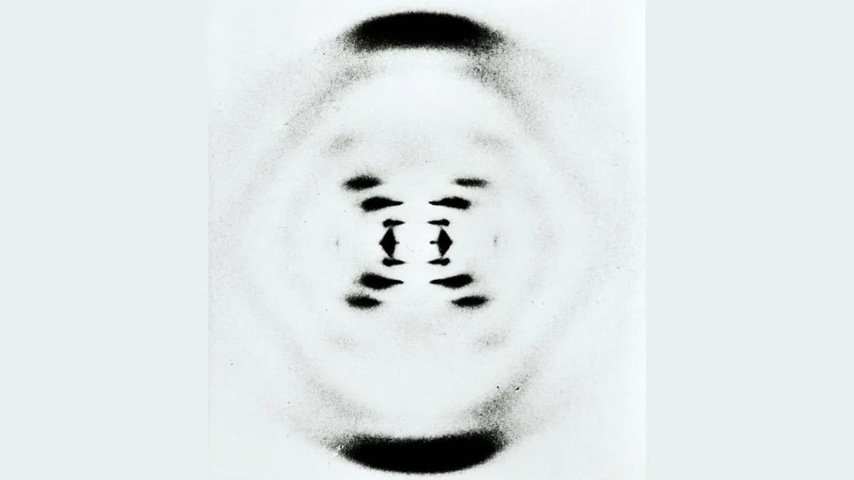 Rosalind Franklin y la estructura helicoidal del ADN: un descubrimiento anticipado