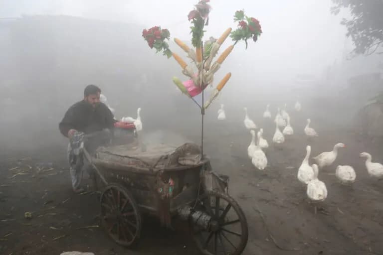 La contaminación del aire en Punjab amenaza a la fauna salvaje