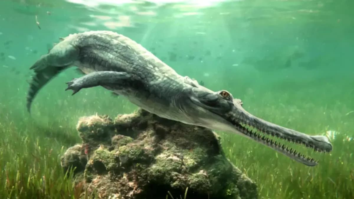 Descubren una nueva especie de cocodrilo extinto en Egipto