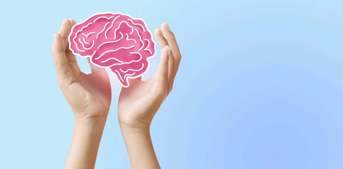 El cerebro humano: ¿realmente tenemos dos cerebros?