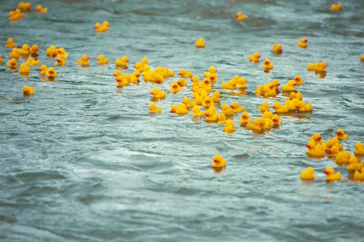 Un llamado urgente sobre los efectos del plástico en el medio ambiente