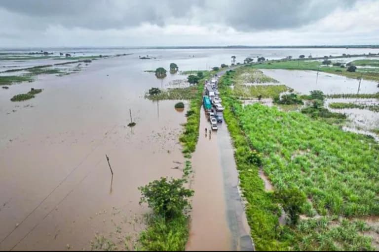 El impacto de El Niño en la inseguridad alimentaria en África del Este y del Sur